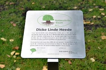 linde schild