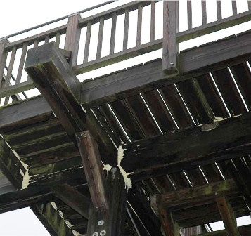 Aussichtsturm mit Pilzbefall