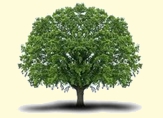 Umwelttag 2012
