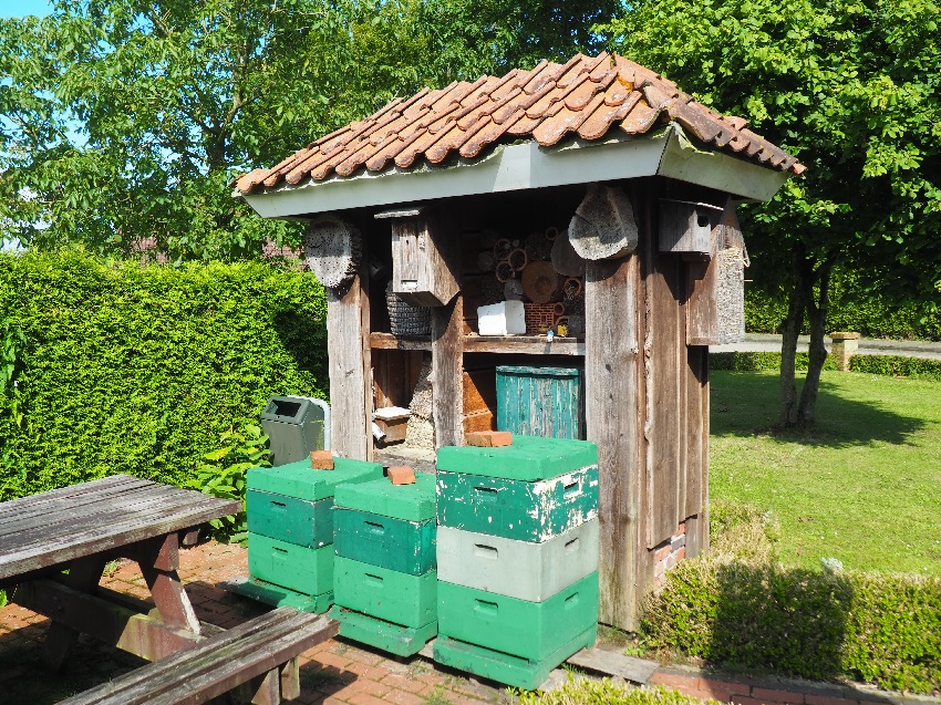 Bienenkaesten 850