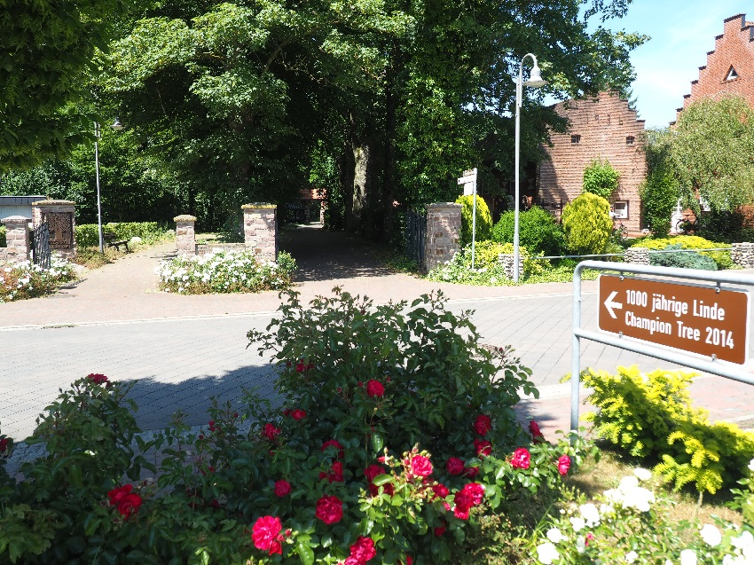 Zugang Blick vom Linden Parkplatz 850