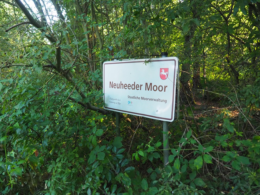 Schild