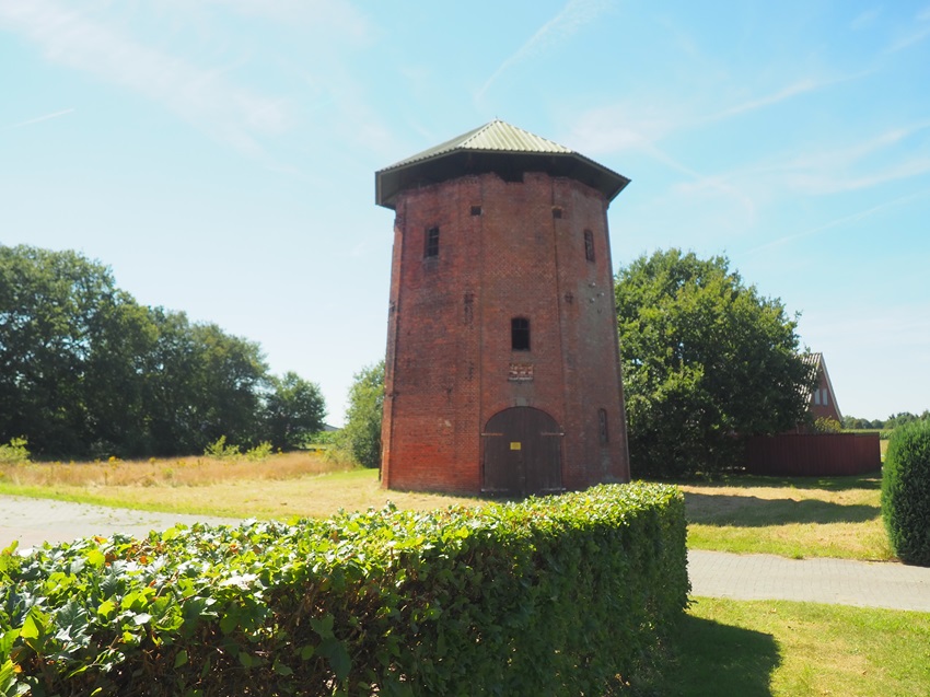 Muehlenstumpf