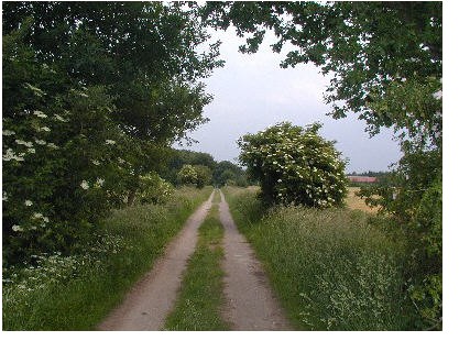 Naturschutzgebiet Achterberge