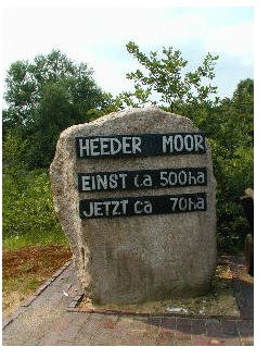 Heeder Moor