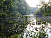 Die Ems und das Naturschutzgebiet